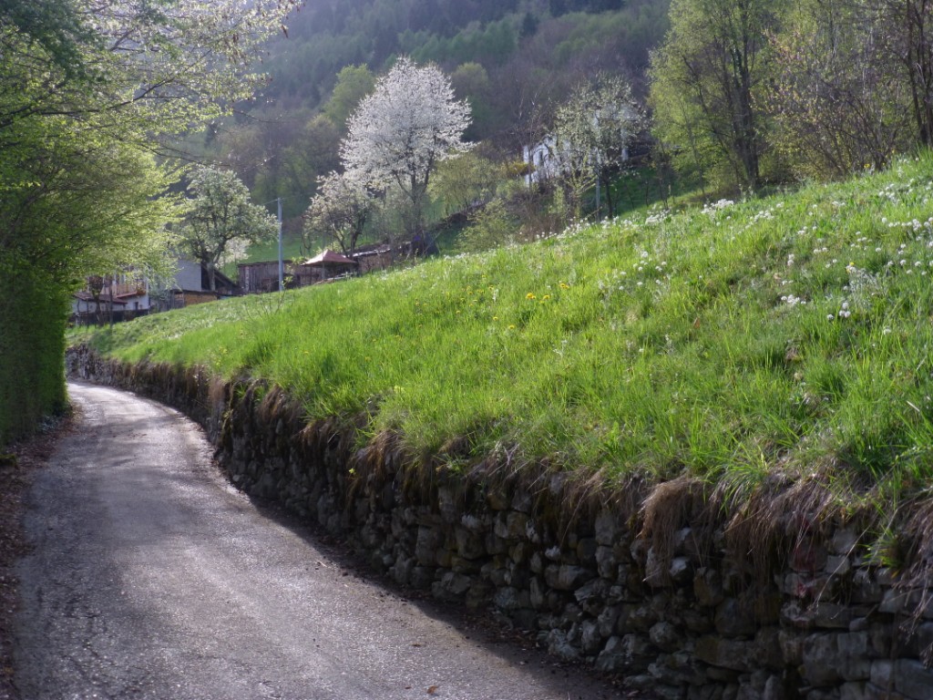 5 aprile 2015, Pasqua di risurrezione, “Di buon mattino, il primo giorno della settimana, vennero al sepolcro al levare del sole” (Mc 16,2)