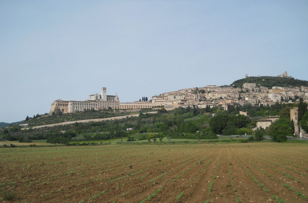 Frate Francesco d’Assisi, Dalla nascita alla prigionia