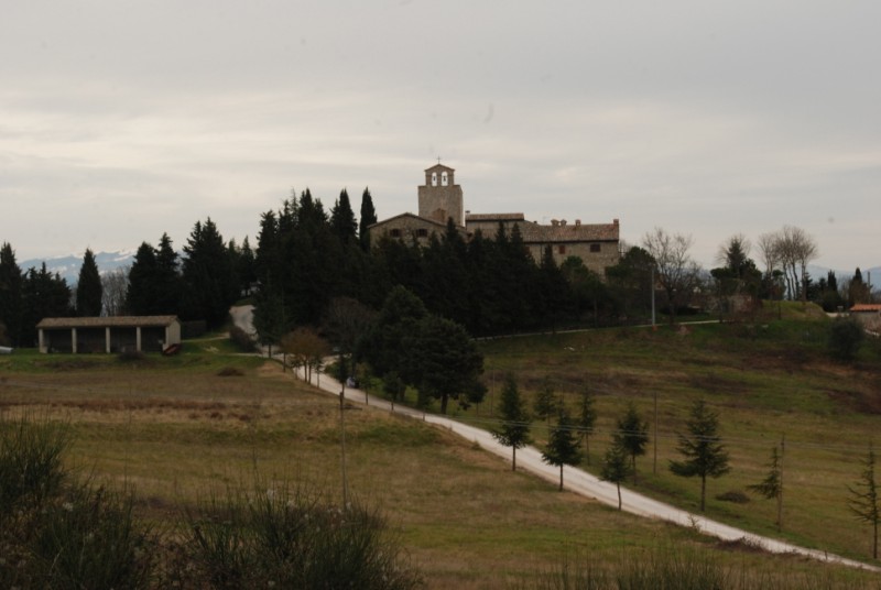 Dalla svestizione al ritorno ad Assisi