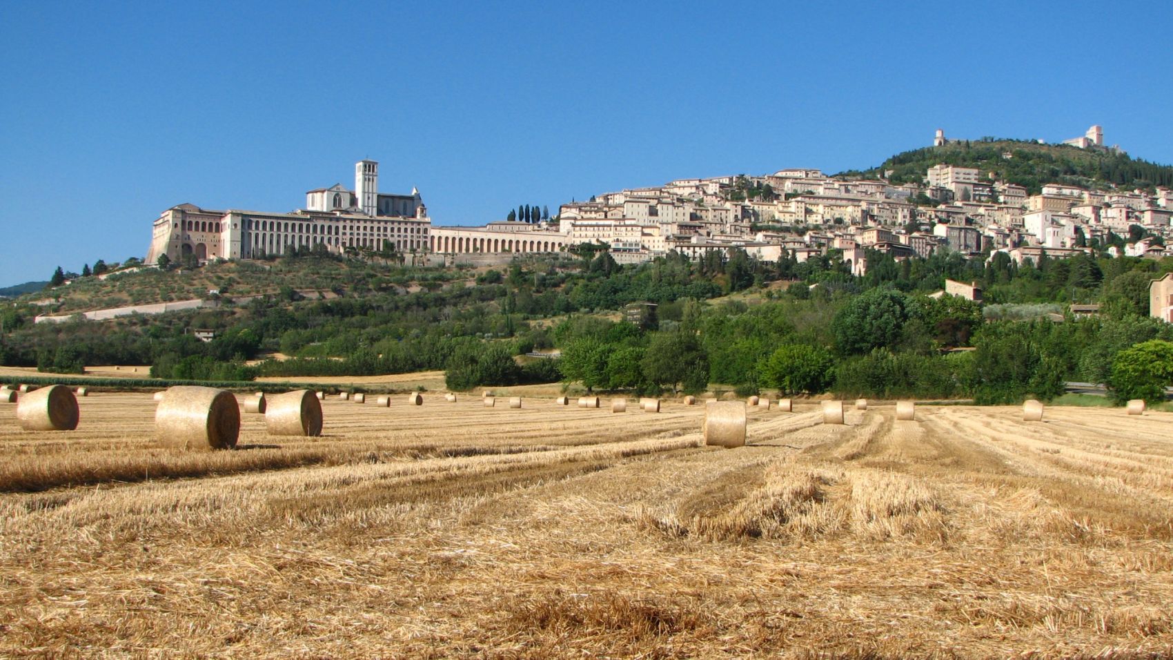 Domenica 16 luglio 2017, XVª TEMPO ORDINARIO