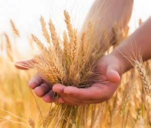 “Diminuire” per amore, cioè “crescere”