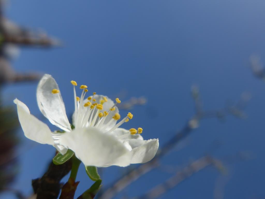 Pasqua di Risurrezione 2019