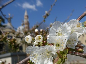 Amore ad ogni costo e fino all’ultimo