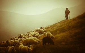 Maturi, cioè pronti per la misericordia