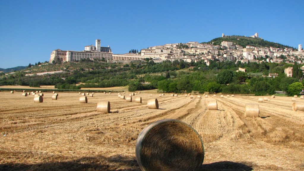 Domenica 19 luglio 2020, XVI TEMPO ORDINARIO