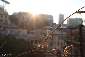 Sicuro come l’aurora