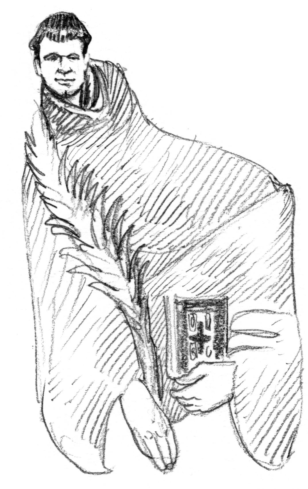 Giuseppe Maria Gambaro, sacerdote francescano e martire (1869-1900), santo