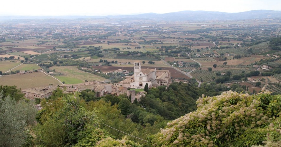 basilica s. francesco dall'alto