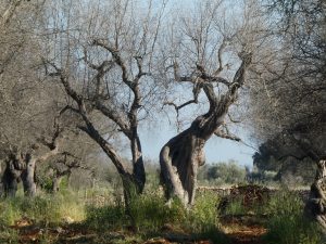 La minaccia del nostro male