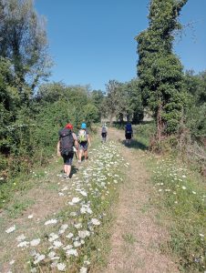 Un deserto che fiorisce