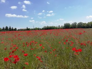 La strada della semplicità