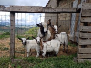 Giovedì XXXI Settimana del Tempo Ordinario